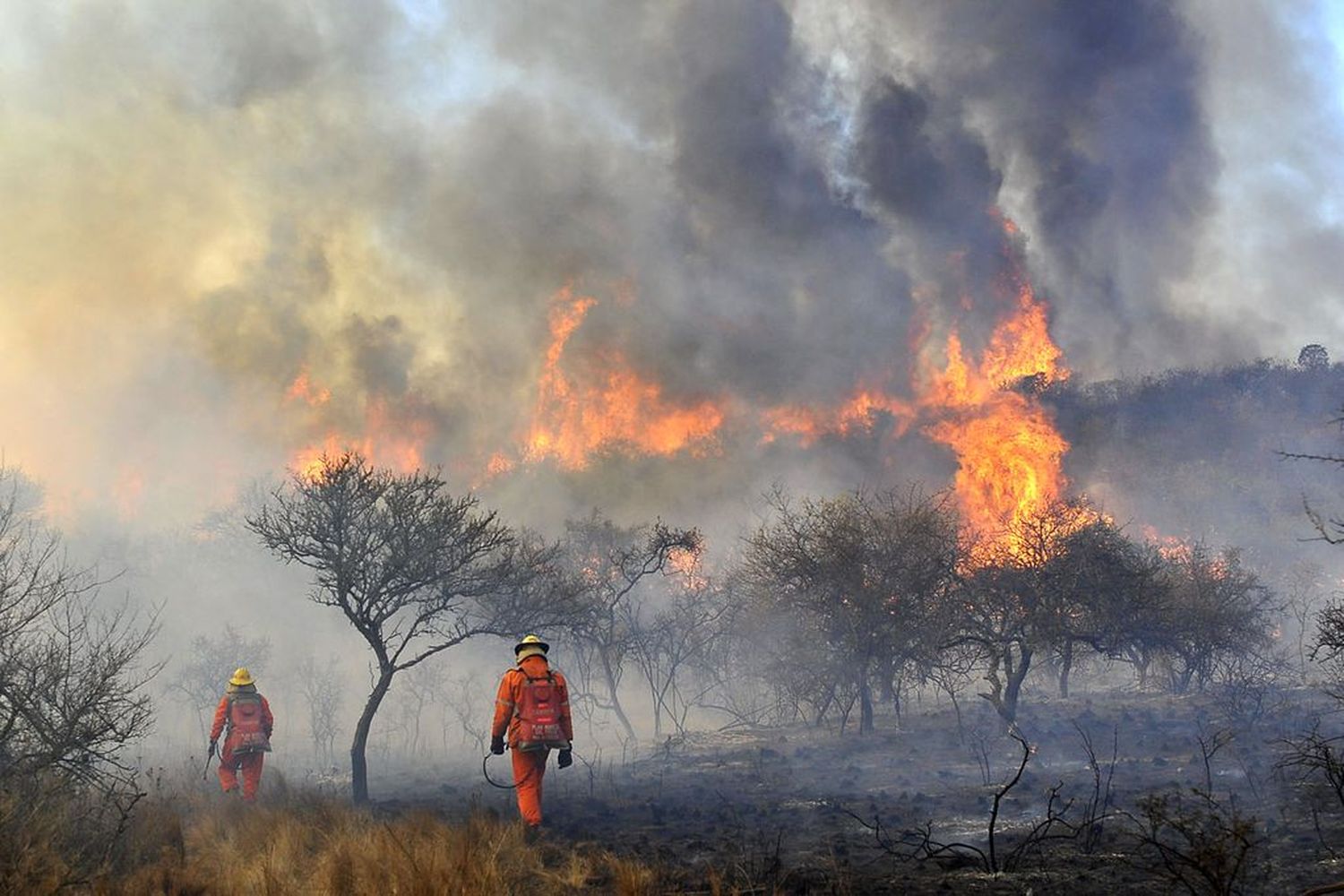 Incendios en Córdoba