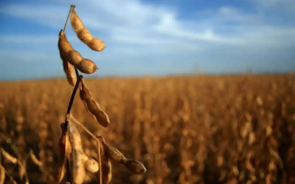 El Gobierno promete que en 2020 no habrá más retenciones al campo