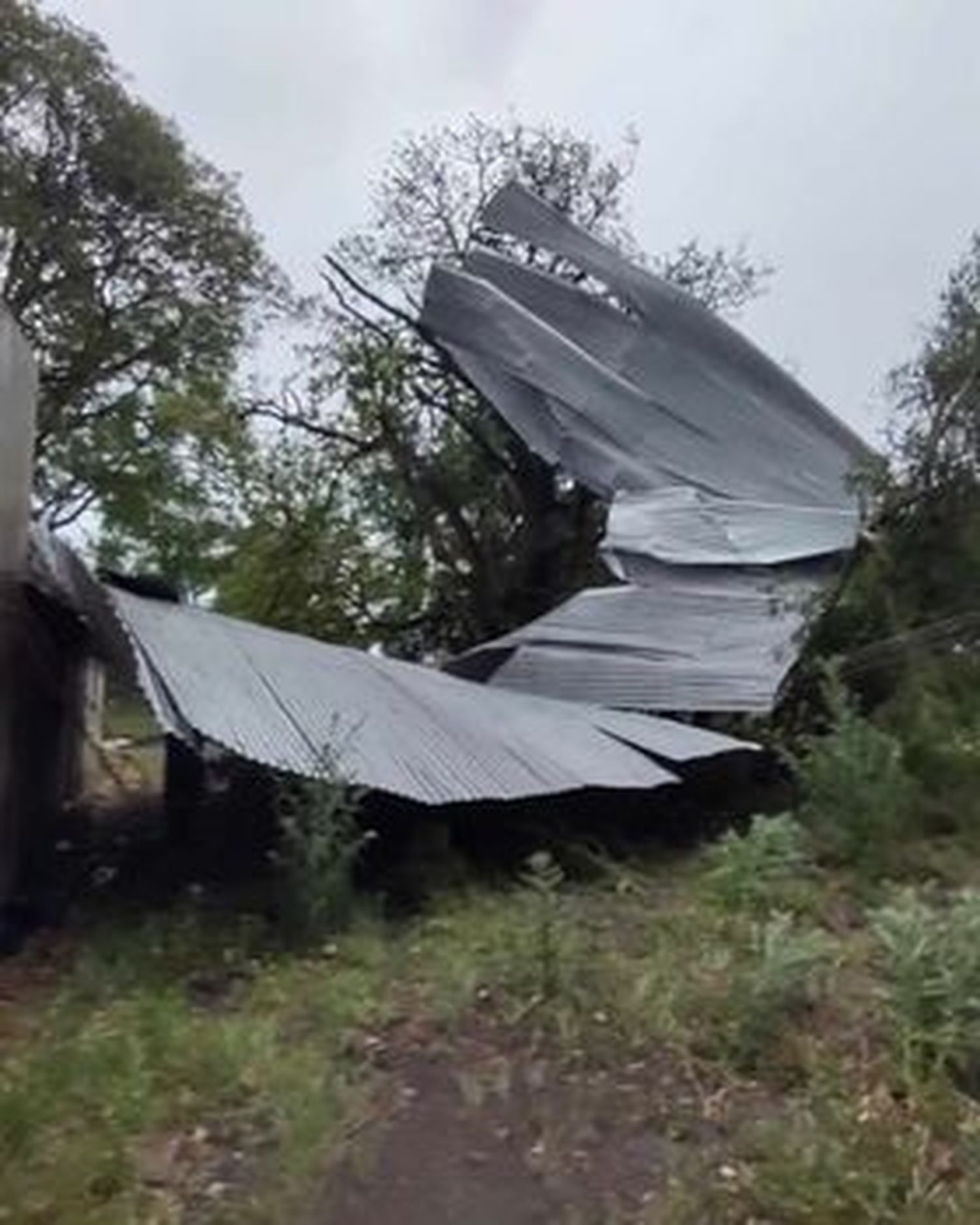 Estragos en Establecimiento La Vizcachera