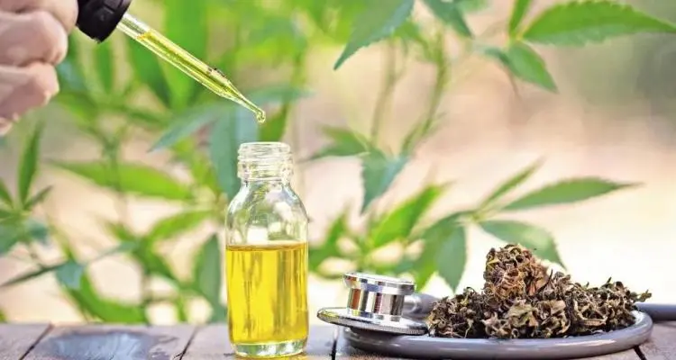 Cannabis medicinal: diserta el experto de un laboratorio uruguayo con intenciones de instalarse en San Pedro