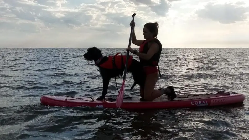 Mar del Plata tendrá su primer encuentro nacional de SupDog