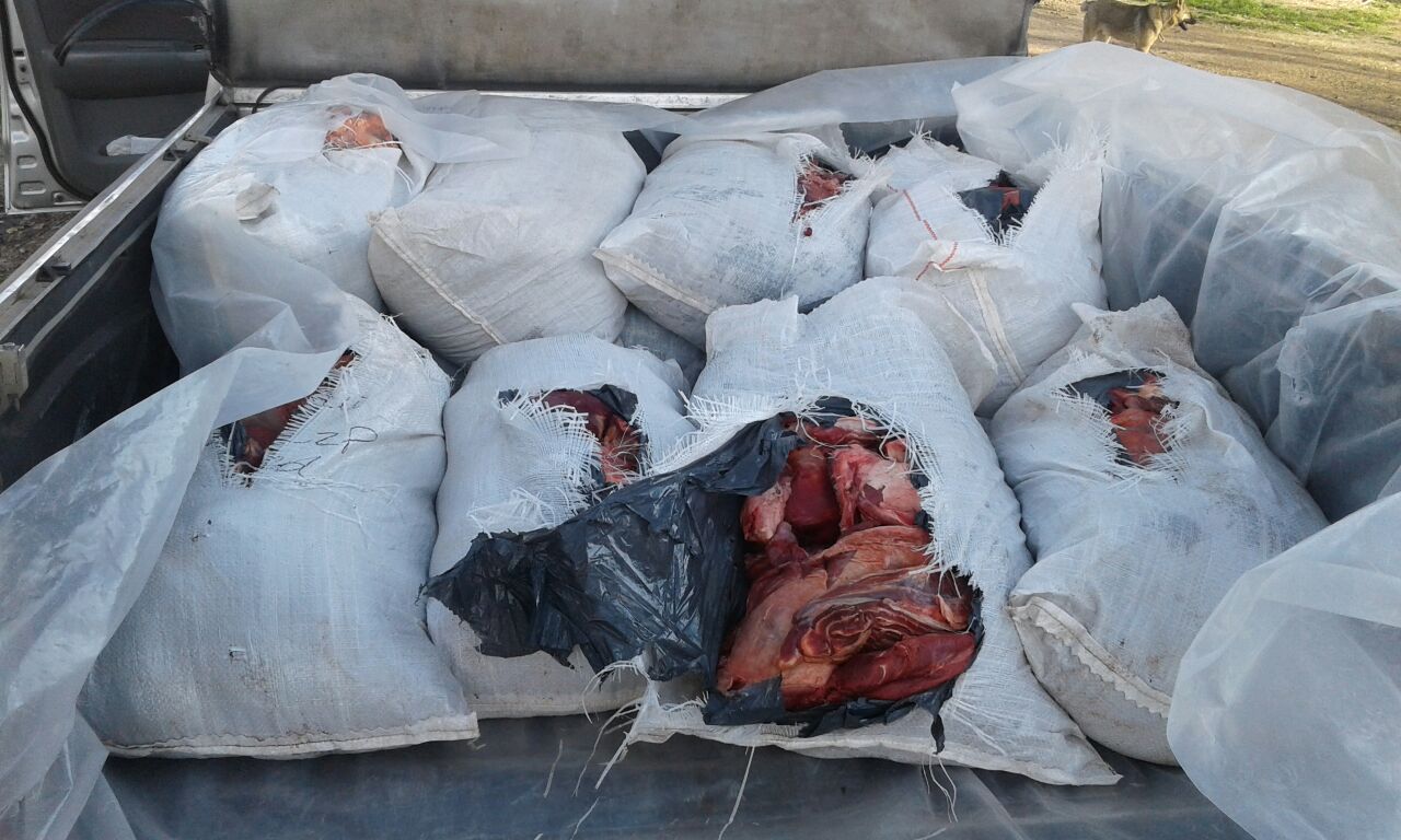 Detenido por transportar carne en forma ilegal e intento de soborno