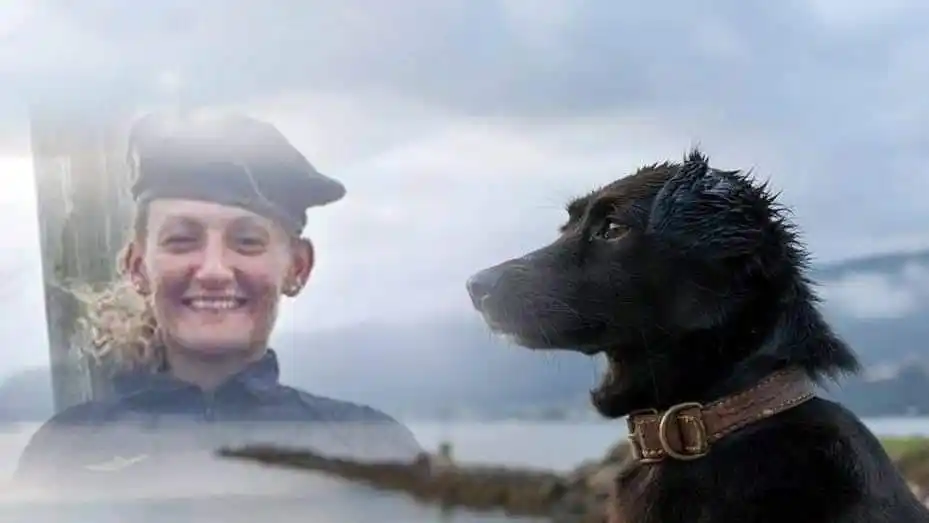 Desmienten la muerte del perro que espera en Mar del Plata a su dueña tripulante del ARA San Juan