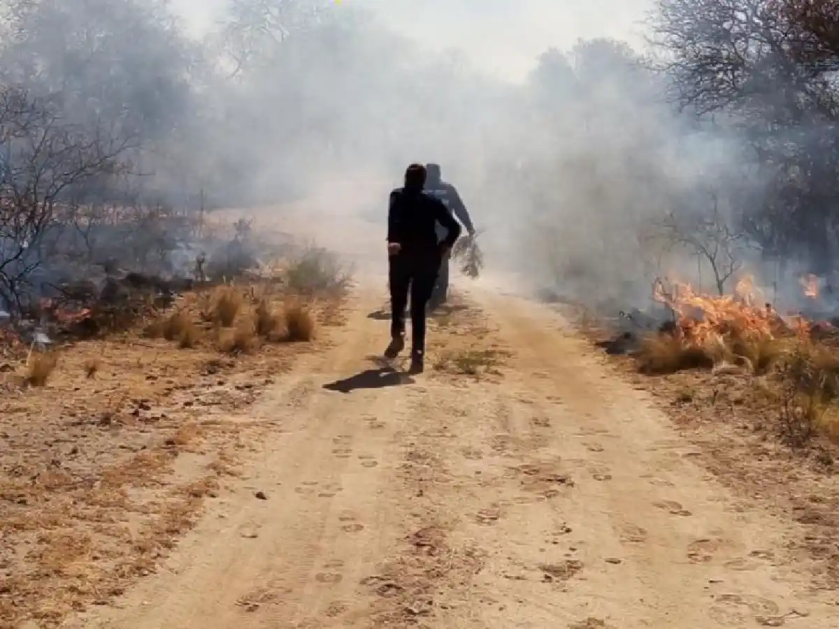 Combaten tres focos de incendio en Córdoba en una jornada con fuertes vientos
