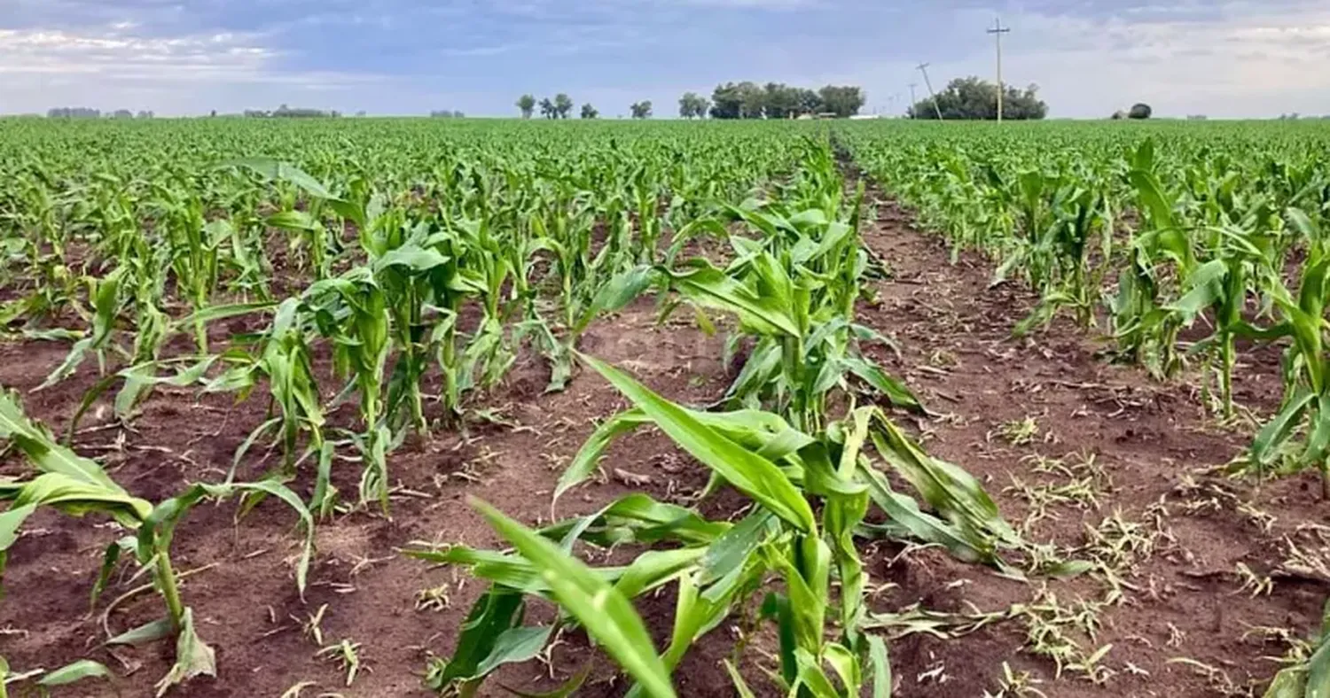 También se observan recargas importantes en el sur de Santa Fe, con unidades de suelo que pasaron de reserva escasa a óptima.