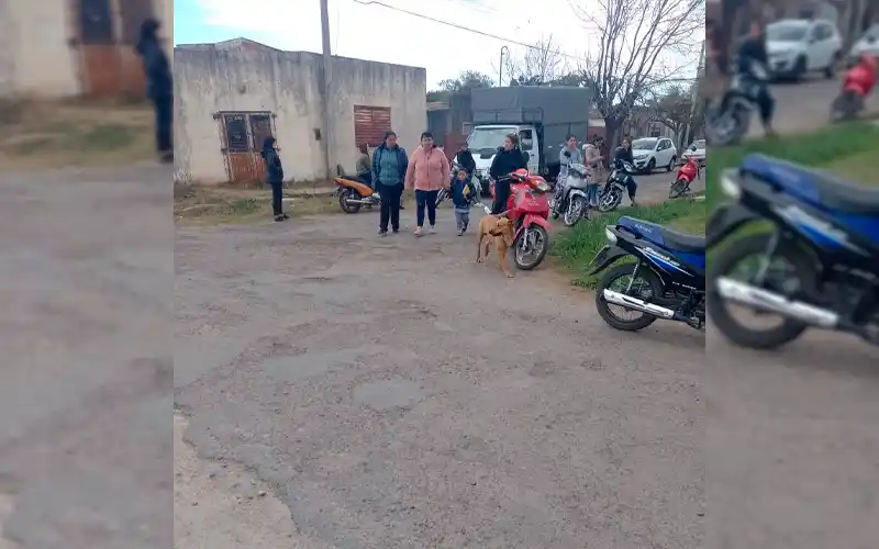 Mamás de jardín reclaman por perros peligrosos