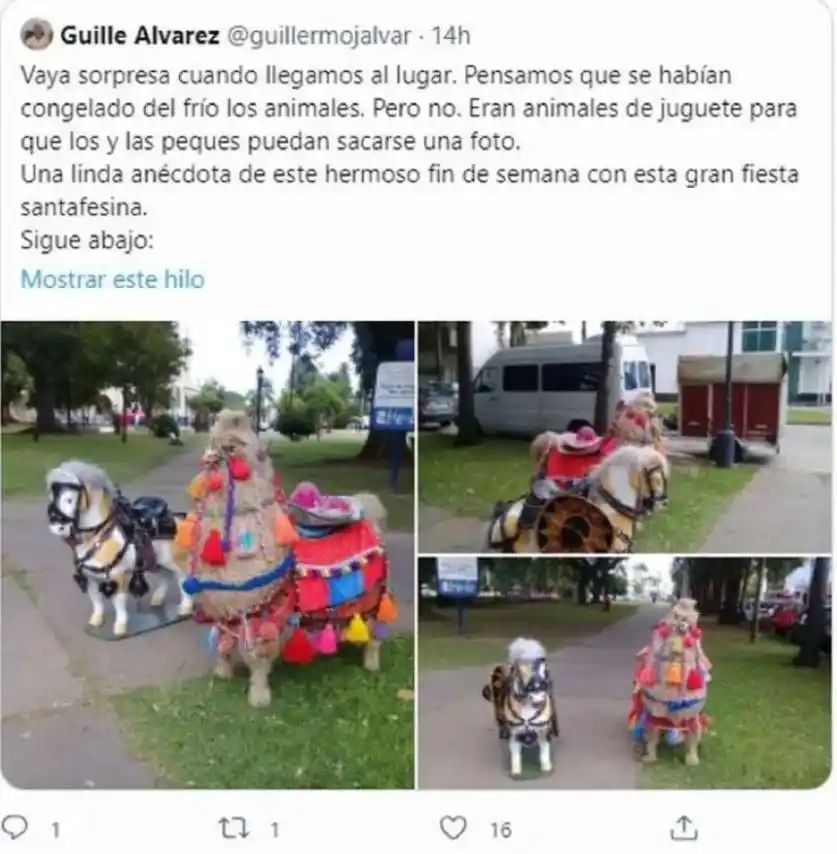 animales - 2