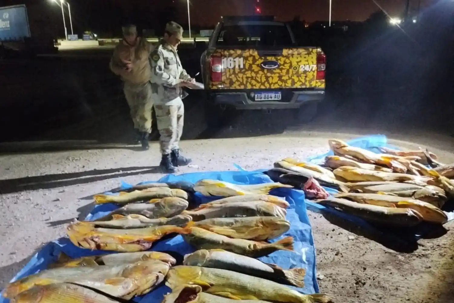 Decomisan más de 400 kilos de pescado transportado ilegalmente en un operativo sobre la Ruta 20