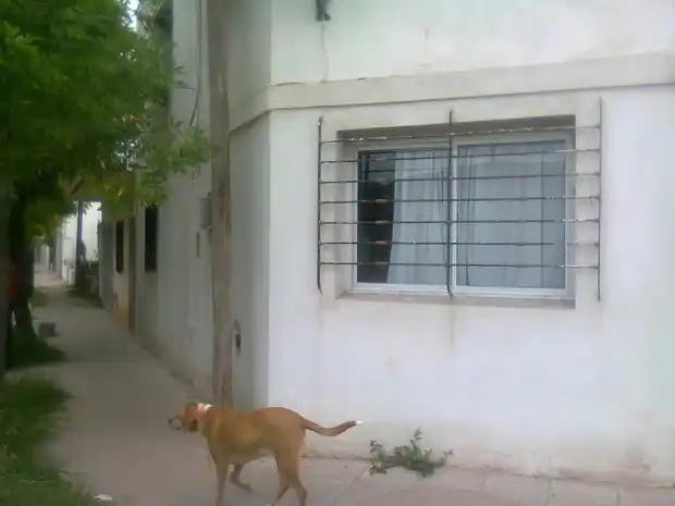 Robaron en la casa del Presidente del Consejo Mixto de Turismo 