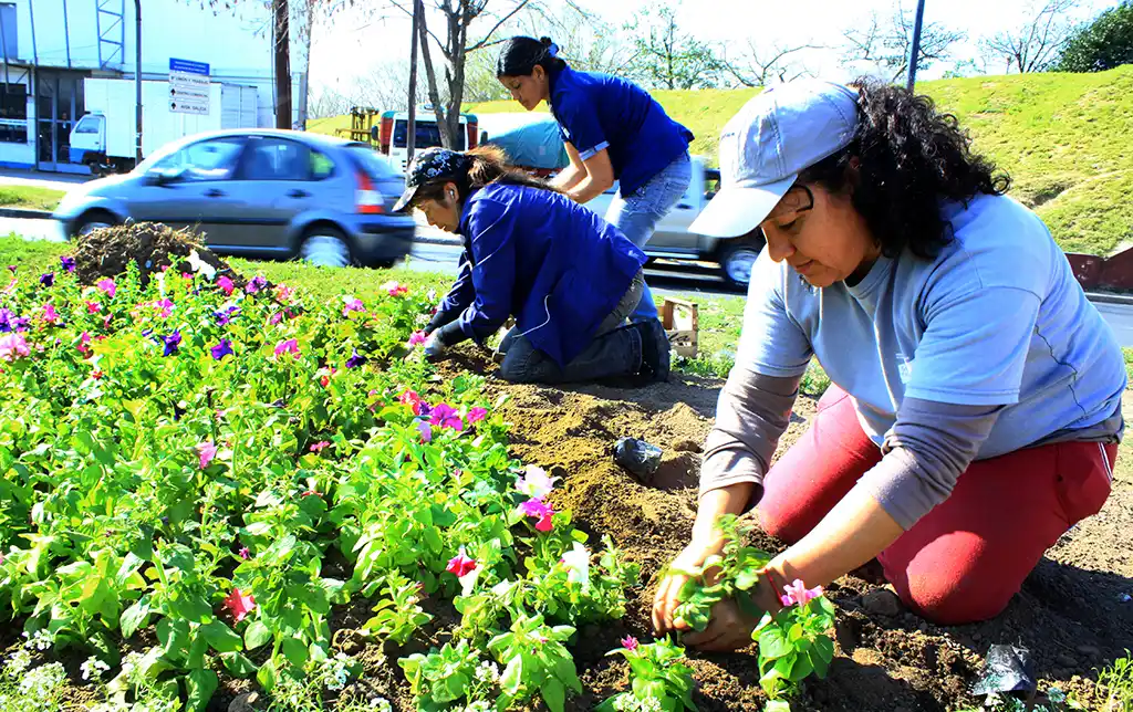 Con canteros bien coloridos, la ciudad se prepara para recibir la primavera