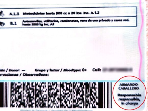 Licencias de conducir truchas: así es el carnet que entrega el "gestor" denunciado por la Municipalidad