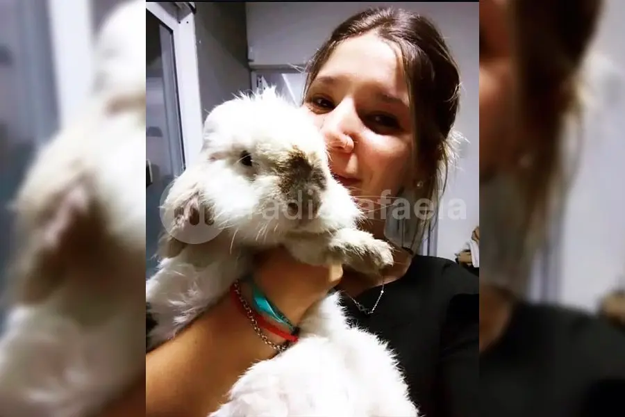Recuperaron al conejo robado en Barrio Italia: “Me ahorro el momento porque no fue para nada agradable”