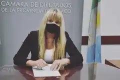 Liliana Spoljaric diputada chaqueña "viveza criolla" 