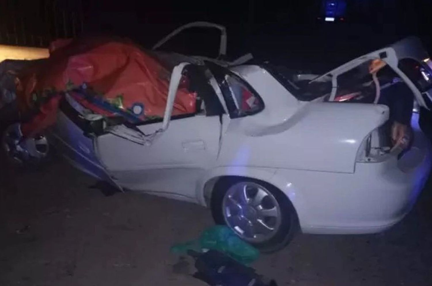 Mendoza: el fuerte viento tiró un enorme árbol sobre un auto y mató al conductor