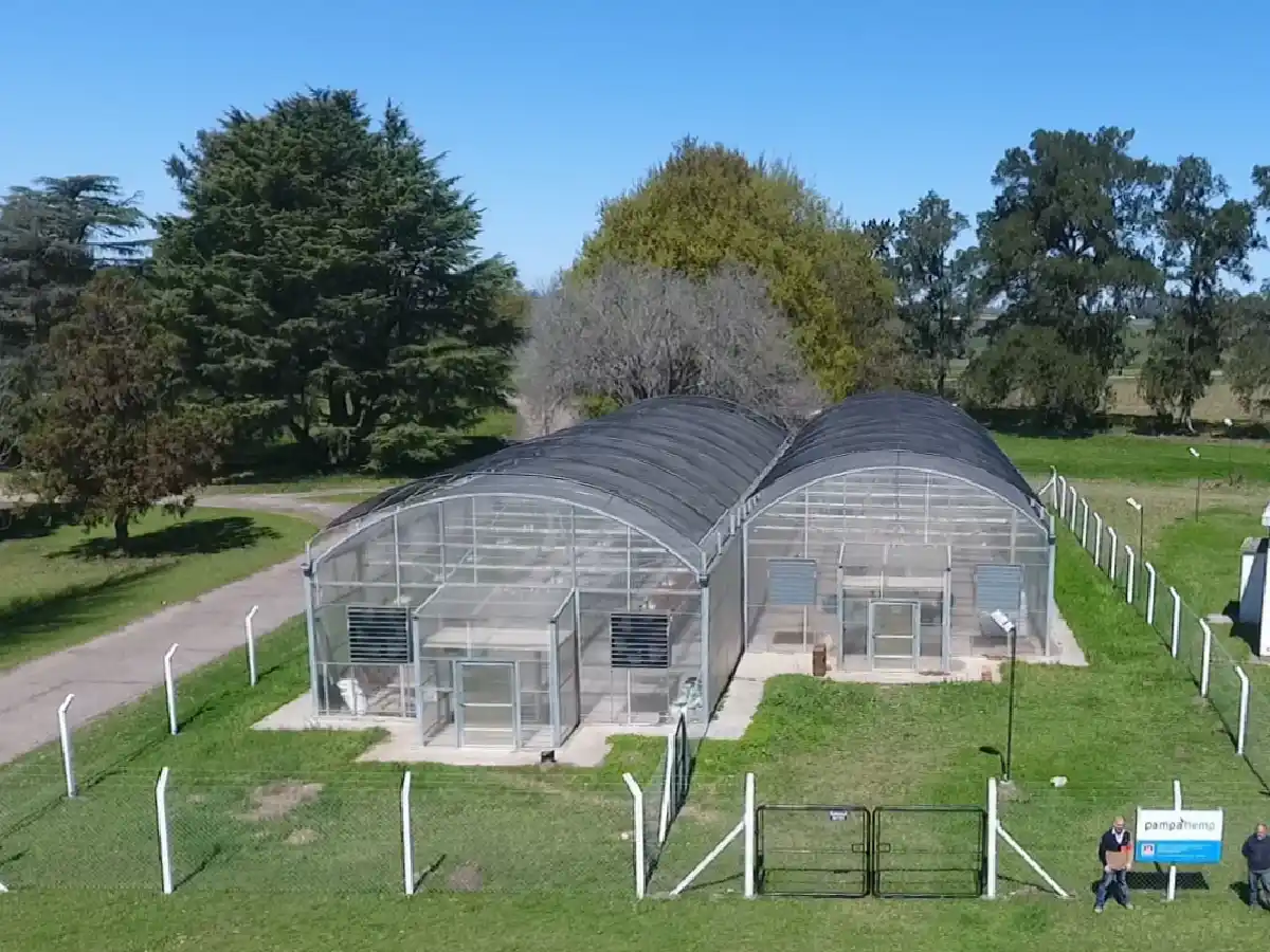 Una pyme comenzó a cultivar legalmente cannabis junto al INTA