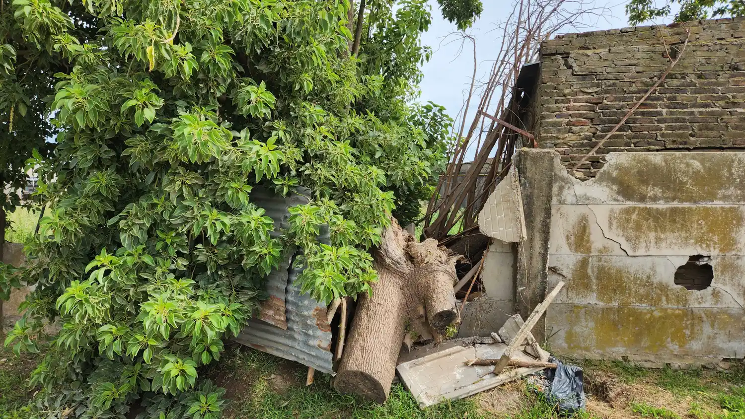 crack horror barrio fatima vecinal droga rafaela cocaina - 6