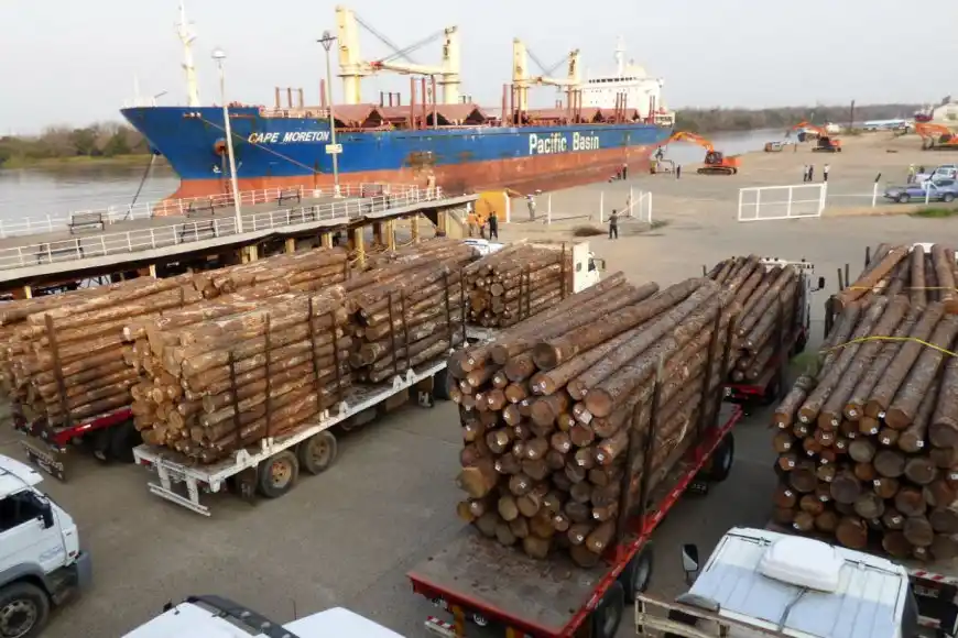 Una ONG mostró los dólares que Entre Ríos pierde por exportar troncos sin industrializar