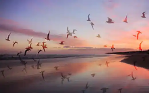 El grupo Fotoarte Necochea entregará premios a artistas