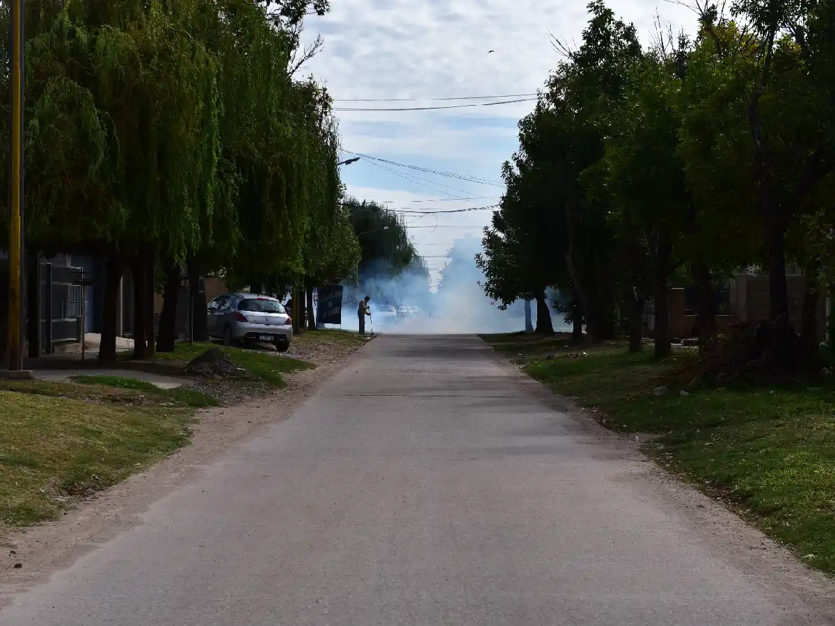  El barrio donde el dengue acecha: “Lo que estamos pasando es terrible”
