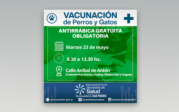 Campaña de vacunación para caninos y felinos por caso positivo de rabia en murciélago