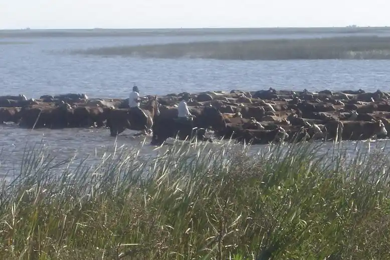 Sigue el alerta en el delta entrerriano a raíz de la crecida del río Paraná