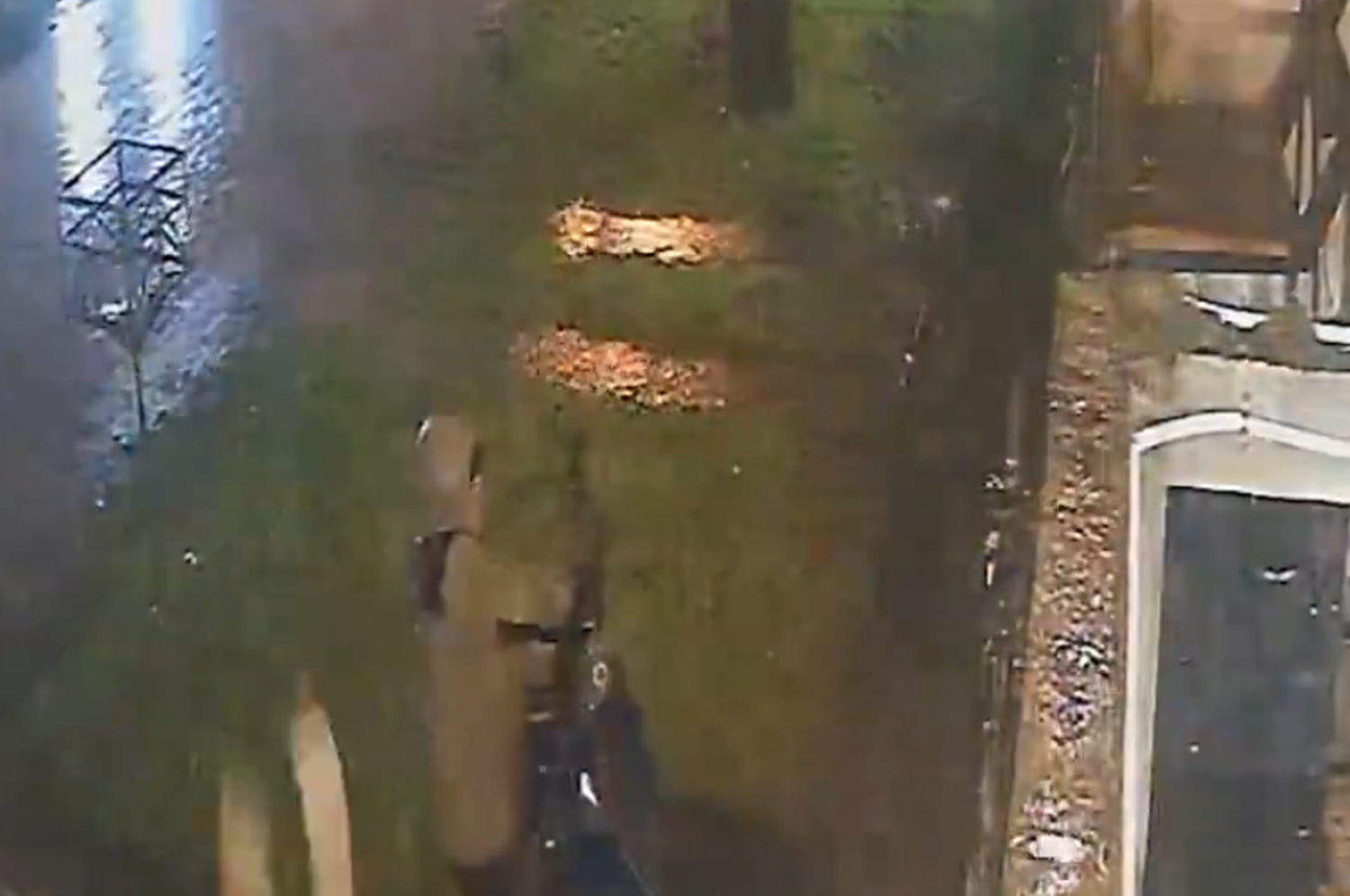 Captura de pantalla tomada del video