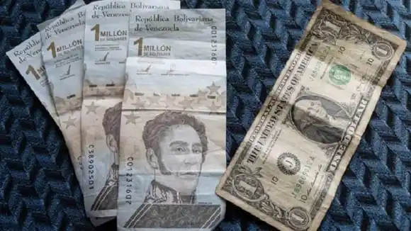 ¡EL BOLÍVAR DIGITAL NACIÓ MUERTO!  A un mes de la reconversión el dólar sigue ganando la batalla