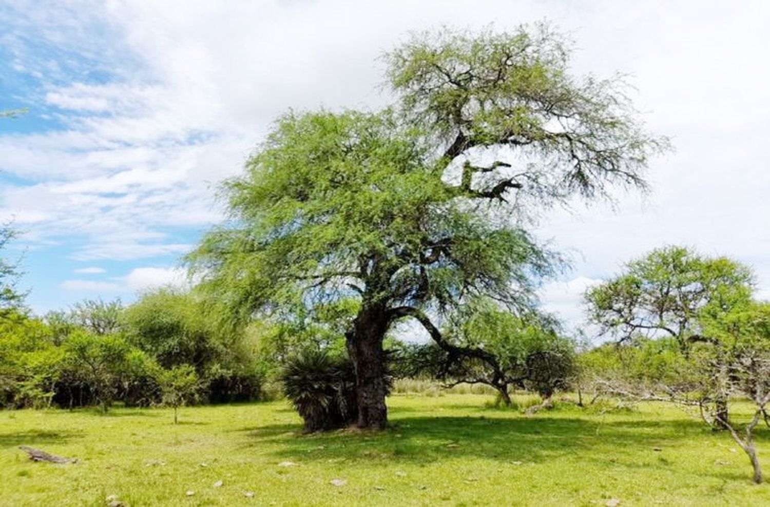 Avanzan en la idea de crear nueva área ambiental protegida