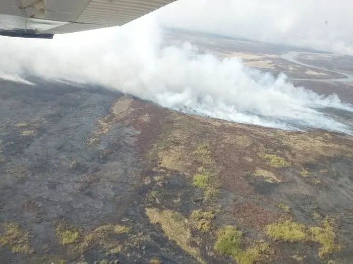 Presentan un plan de  forestación para  contrarrestar los incendios  del Delta del Paraná