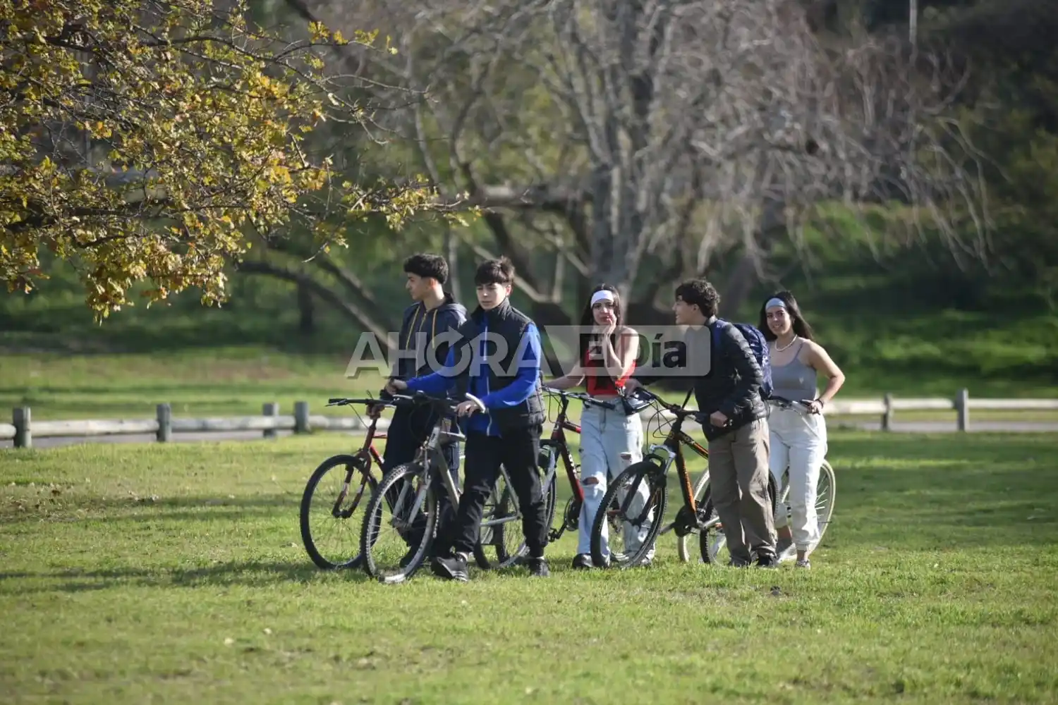 dia del amigo dia de la amistad - 4
