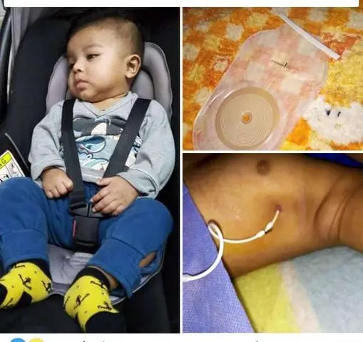 La familia de Elohim agradece la ayuda recibida