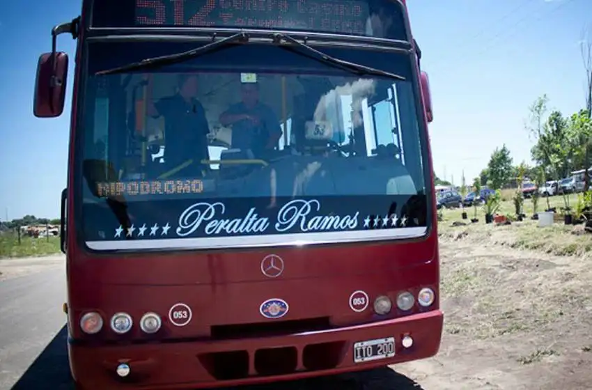 Realizarán pruebas para que llegue el trasbordo a Mar del Plata