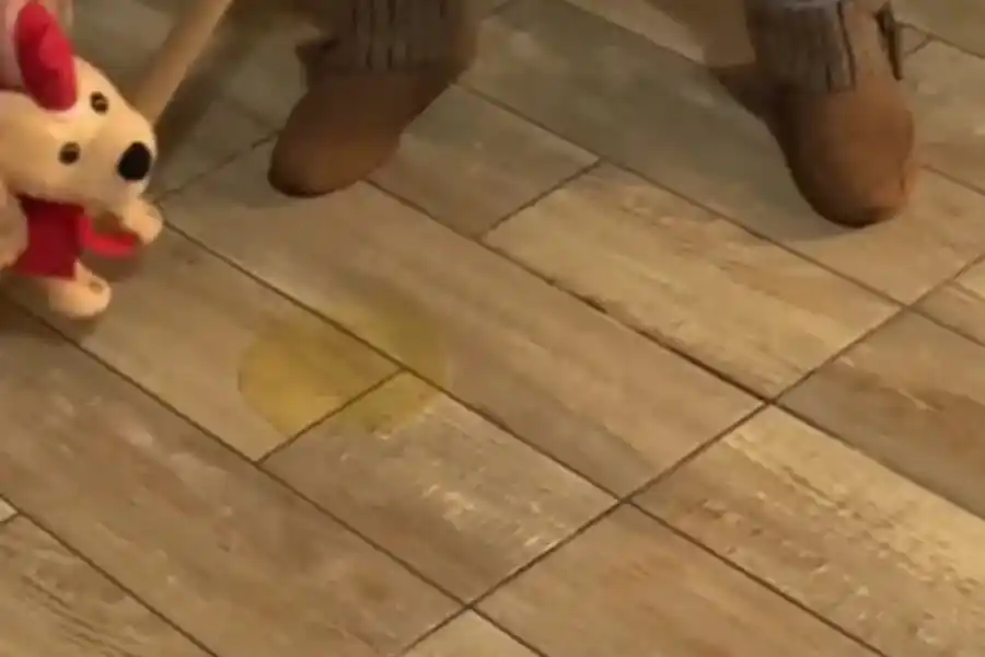 La mujer usó un perro de peluche para explicarle a su cachorro lo que no debía hacer. (Foto: Captura TikTok/itsmebeln)