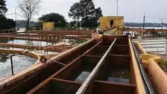 Concordia declaró la emergencia hídrica: qué prohibiciones implica