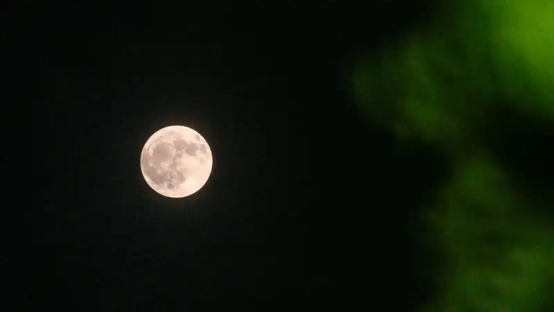 Quienes deseen realizar la observación contarán con flexibilidad, siempre que se encuentren en un lugar sin luces intensas y dispongan de una vista despejada del cielo.