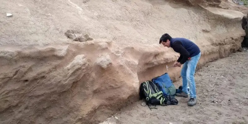 Descubren restos fósiles de más de 500 mil años