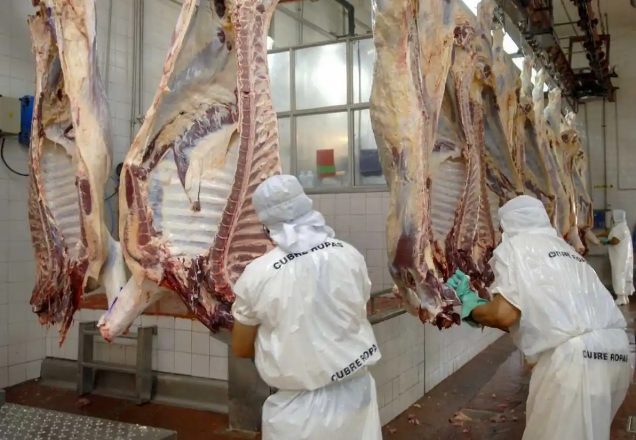 El Gobierno afirma principio de acuerdo con frigoríficos y se reanudarían exportaciones de carne vacuna
