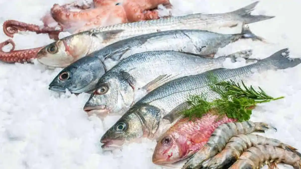 Semana Santa: El precio del pescado aumentó muy por encima de la inflación