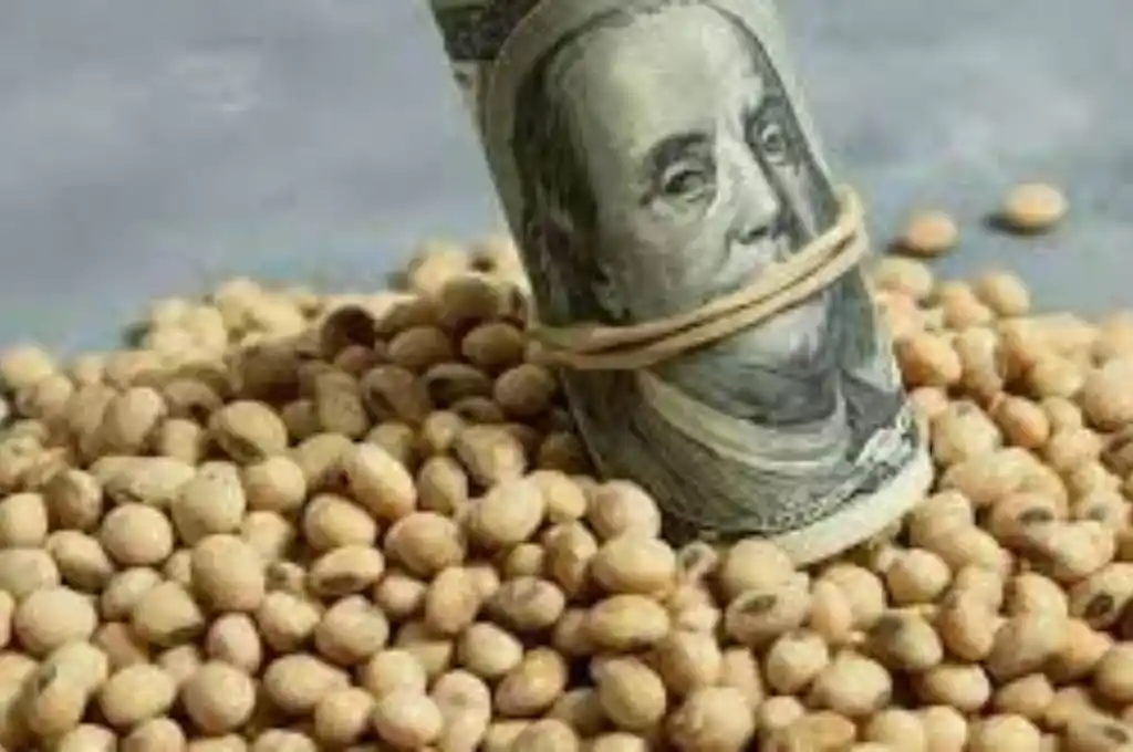 Concluye la vigencia del “dólar soja” y Massa dará a conocer los resultados de la medida