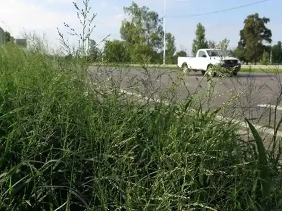 Murió una mujer en avenida Circunvalación tras caerse de su moto