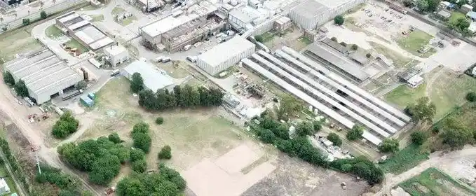 Provincia confirmó que un frigorífico de Tigre contamina la cuenca del río Reconquista