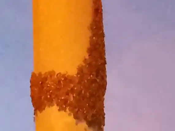 Enjambre de abejas en Almafuerte e Independencia