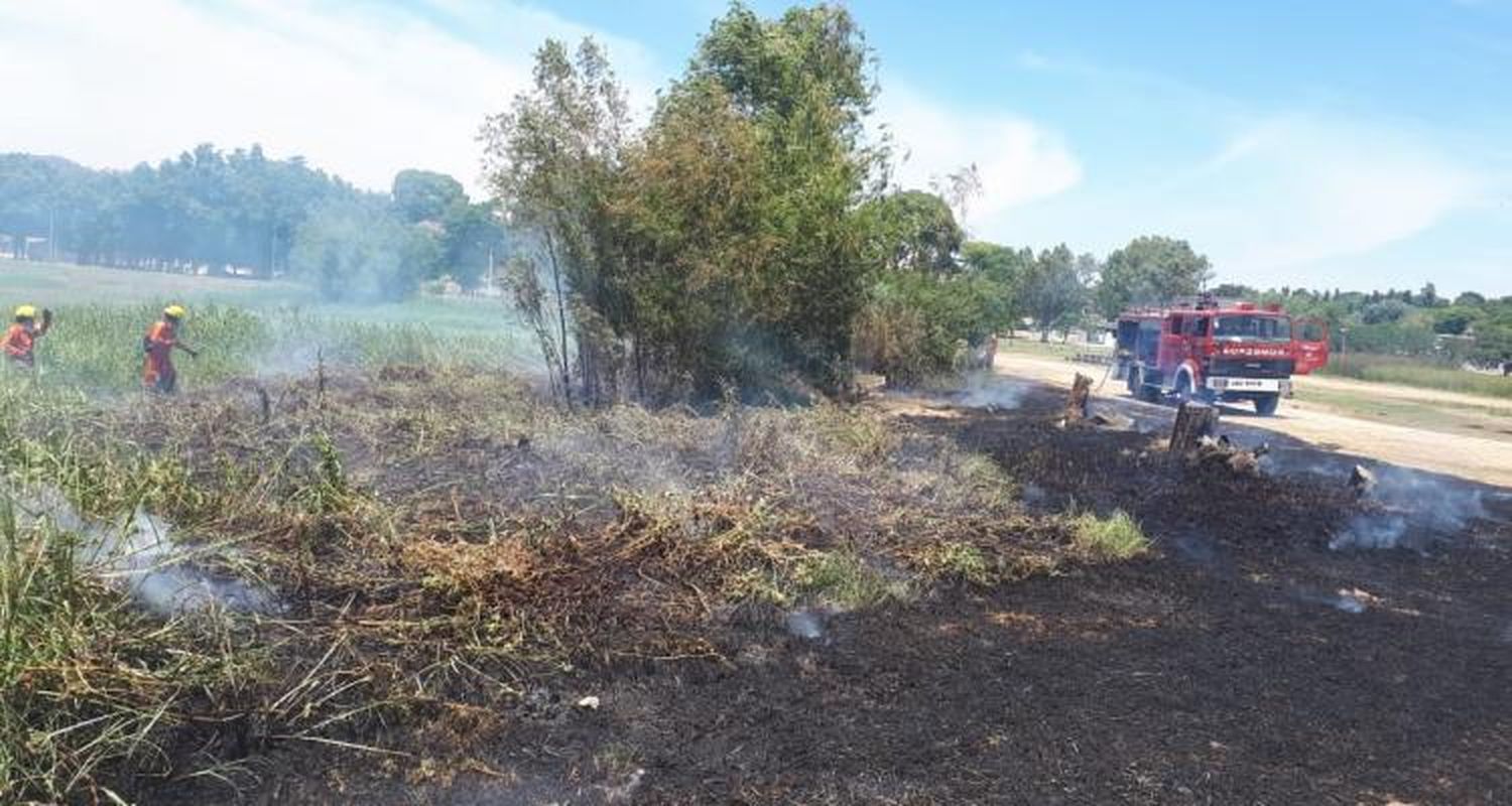 Bomberos controló un importante incendio de pastizales en el Paseo Público