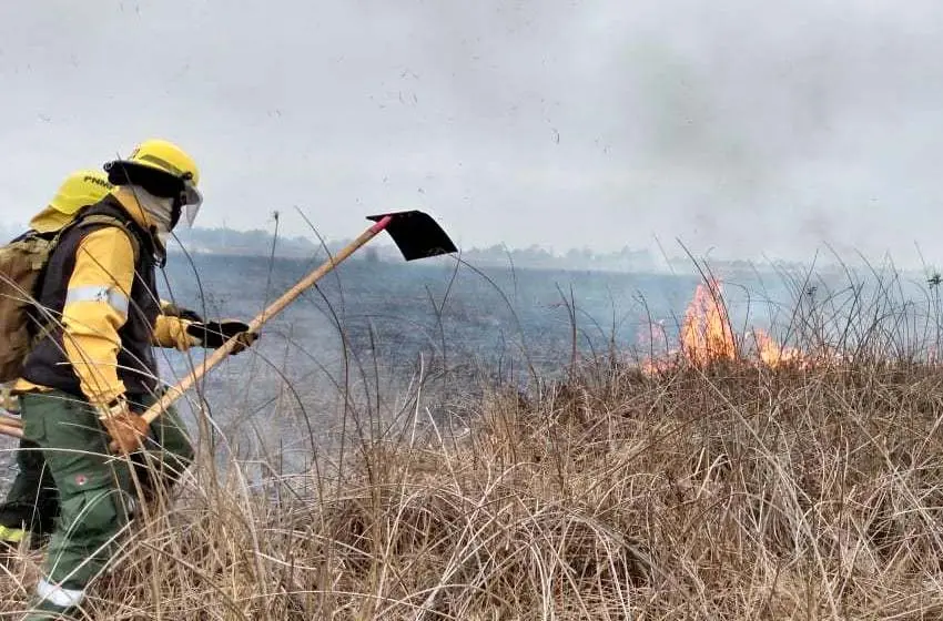 La impactante foto que se viralizó sobre los incendios en las islas