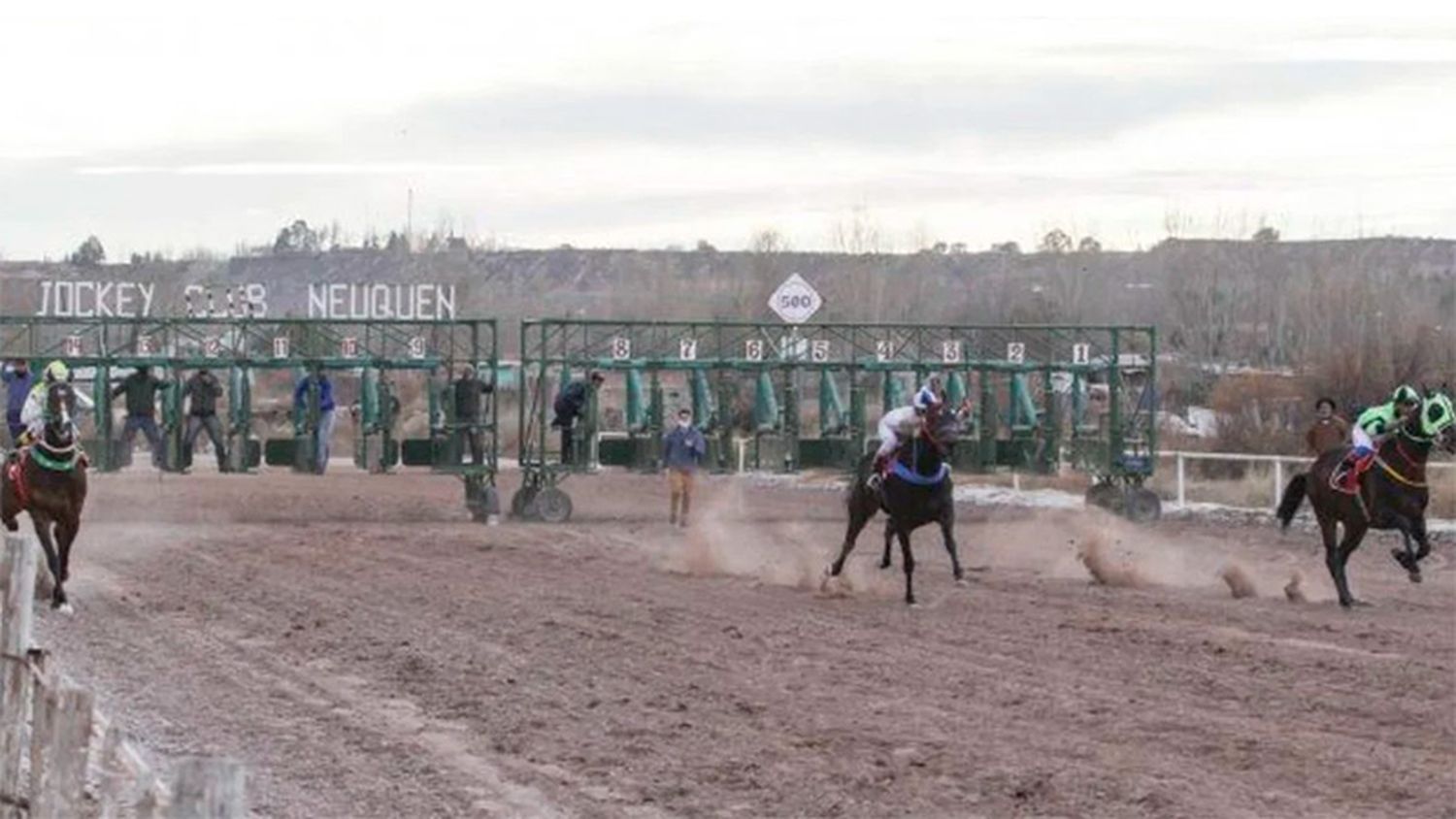 Imputaron al dueño y al jockey de un caballo que murió tras ganar una carrera