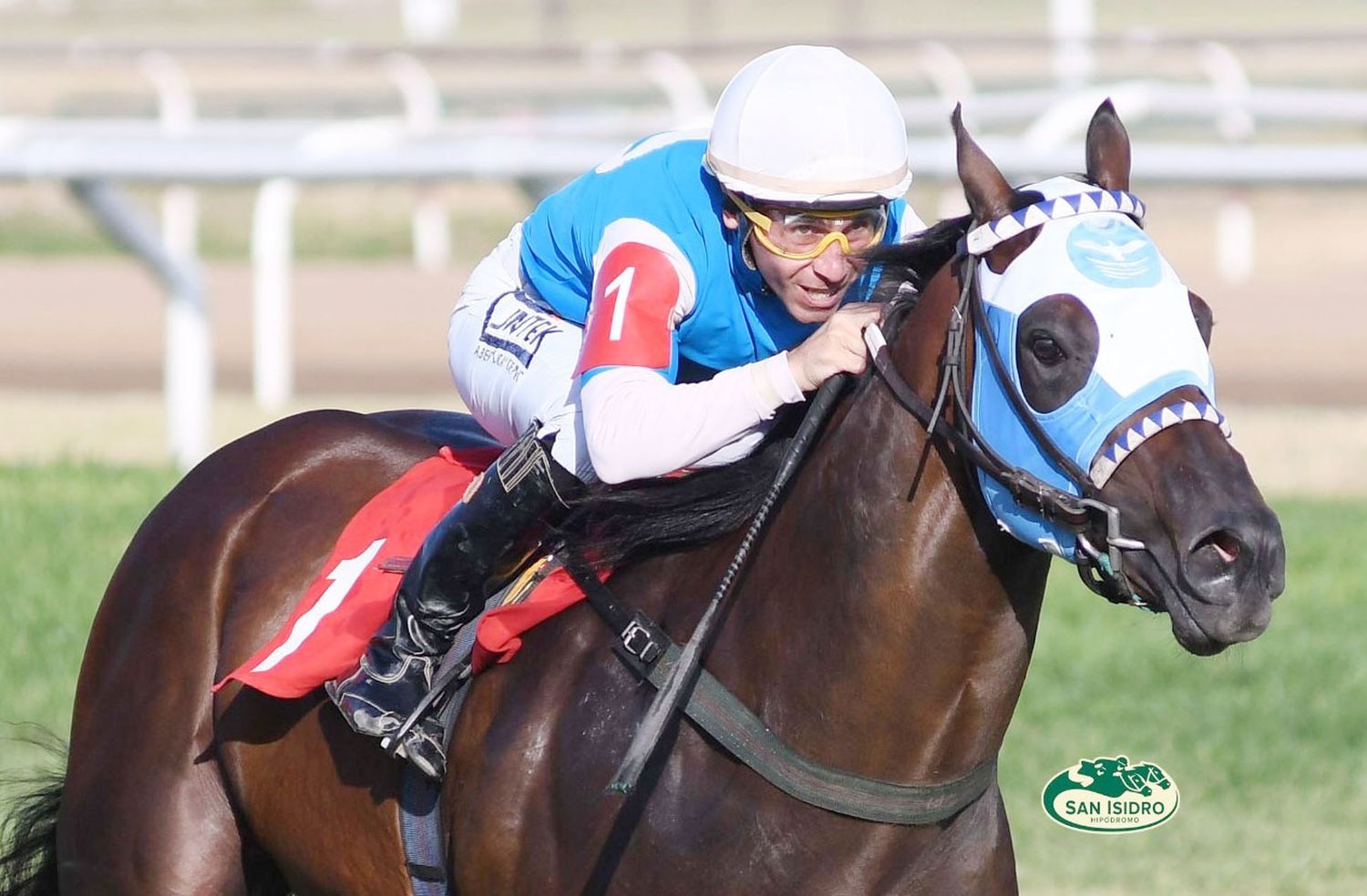 El potrillo The Great Cash tratará de mantener su invicto  en el Clásico Santiago Luro (G2), en Palermo.