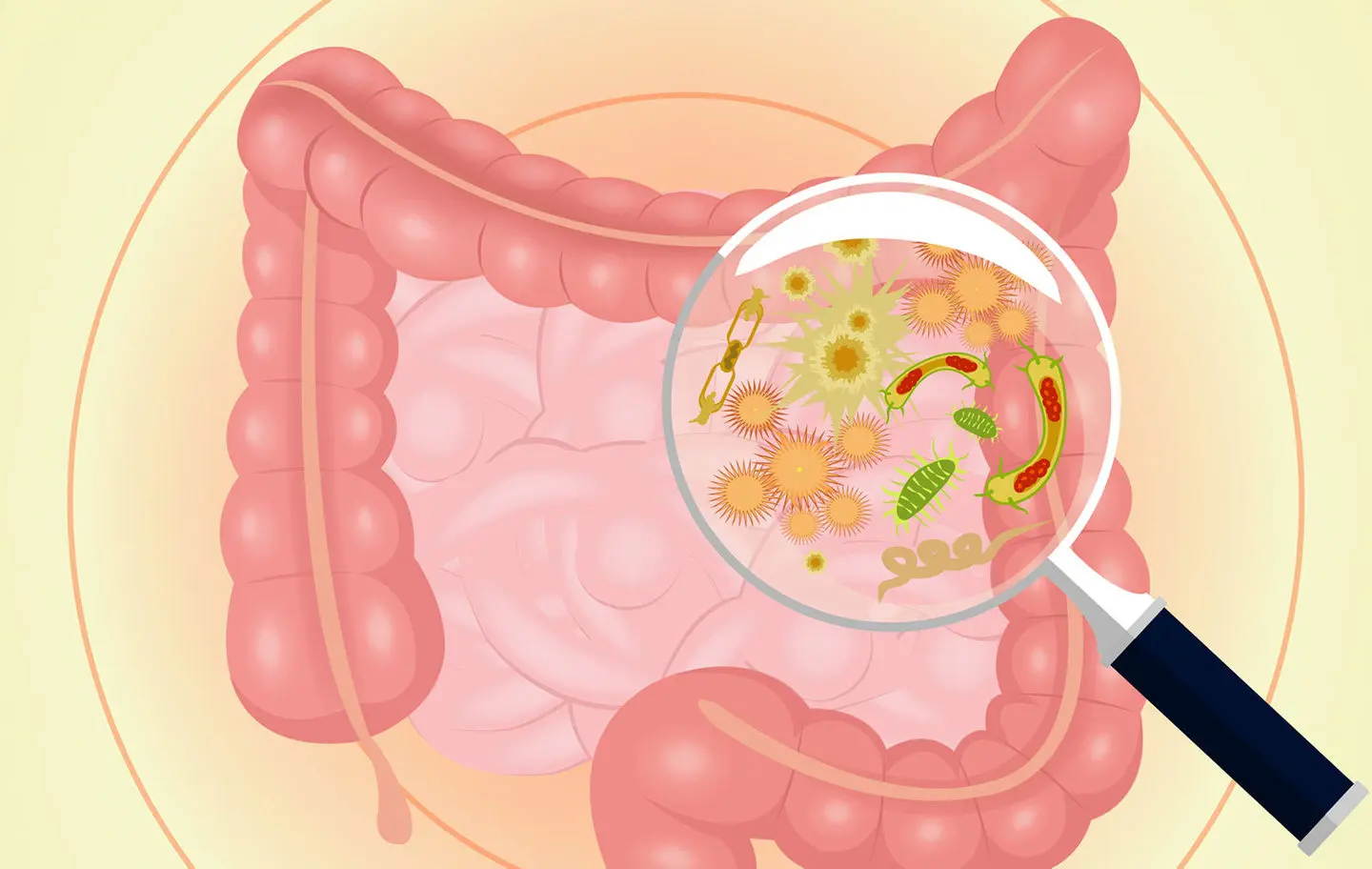 ¿Te la pasaste comiendo y chupando? Cómo cuidar la microbiota antes, durante y después de las Fiestas
