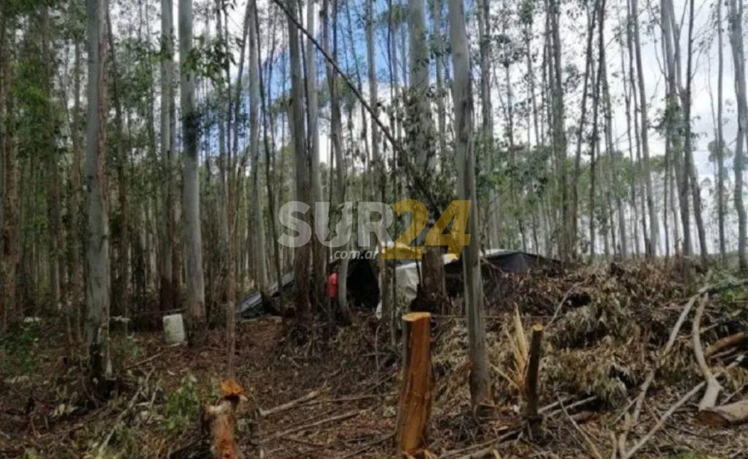 Rescatan a ocho personas que eran explotadas en una finca de Concordia, una de ellas menor de edad