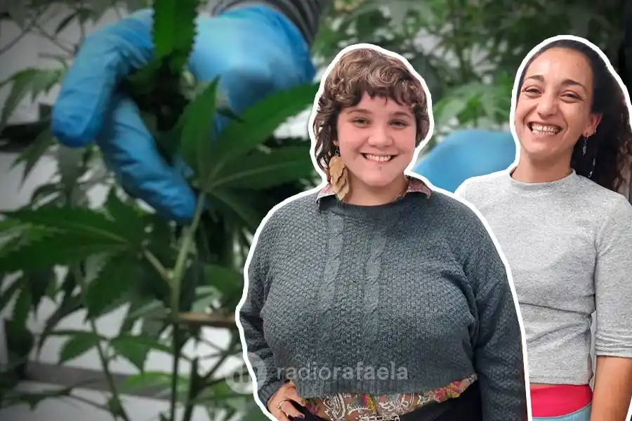 Cultura Cannábica: Las dificultades de instalar la temática en la ciudad