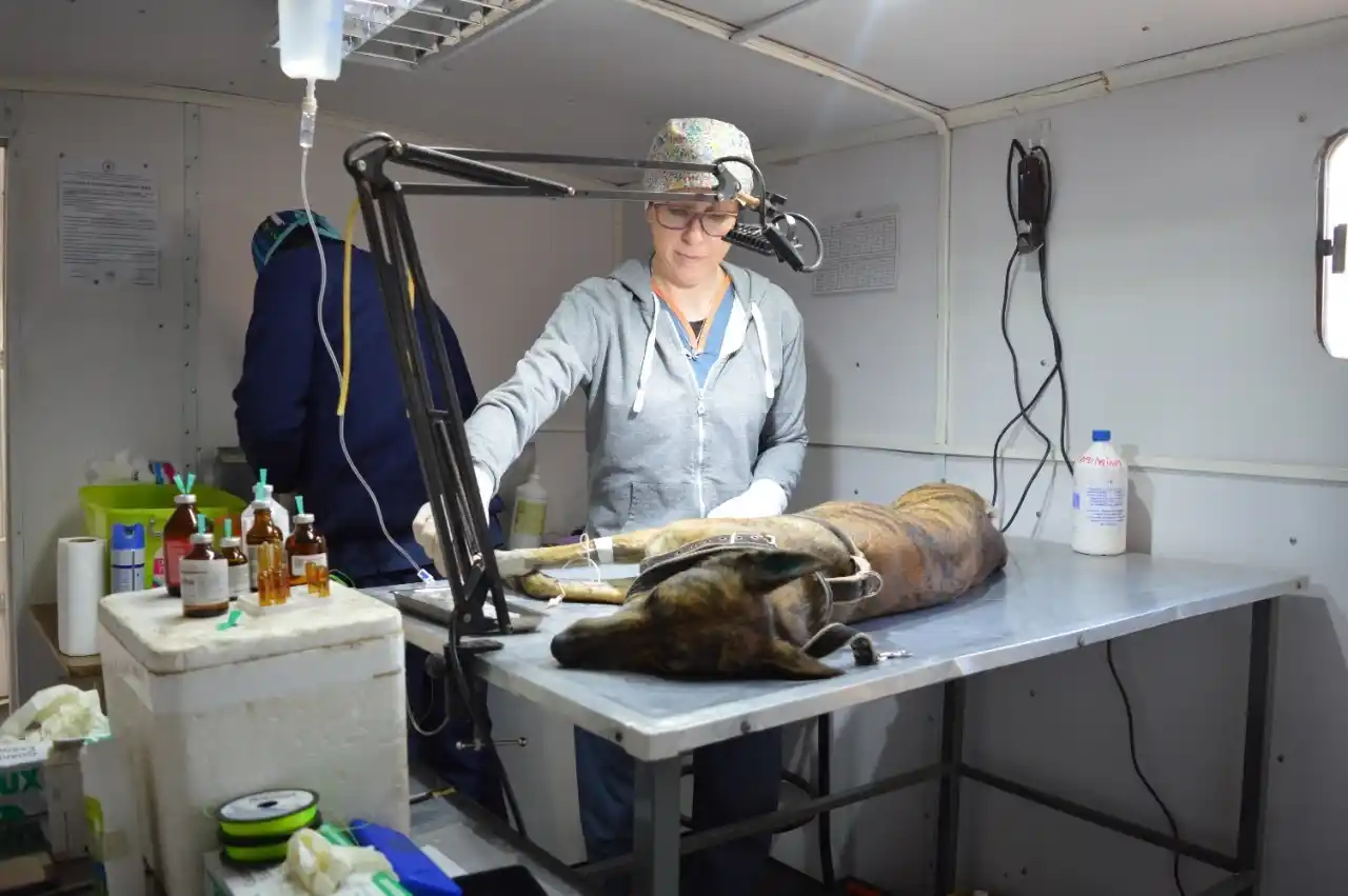 El programa “Orejas Verdes” tuvo gran concurrencia de vecinos en el Malvinas Argentinas